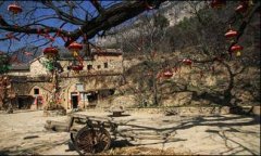 先后对11座古村子进行了分歧程度的、开